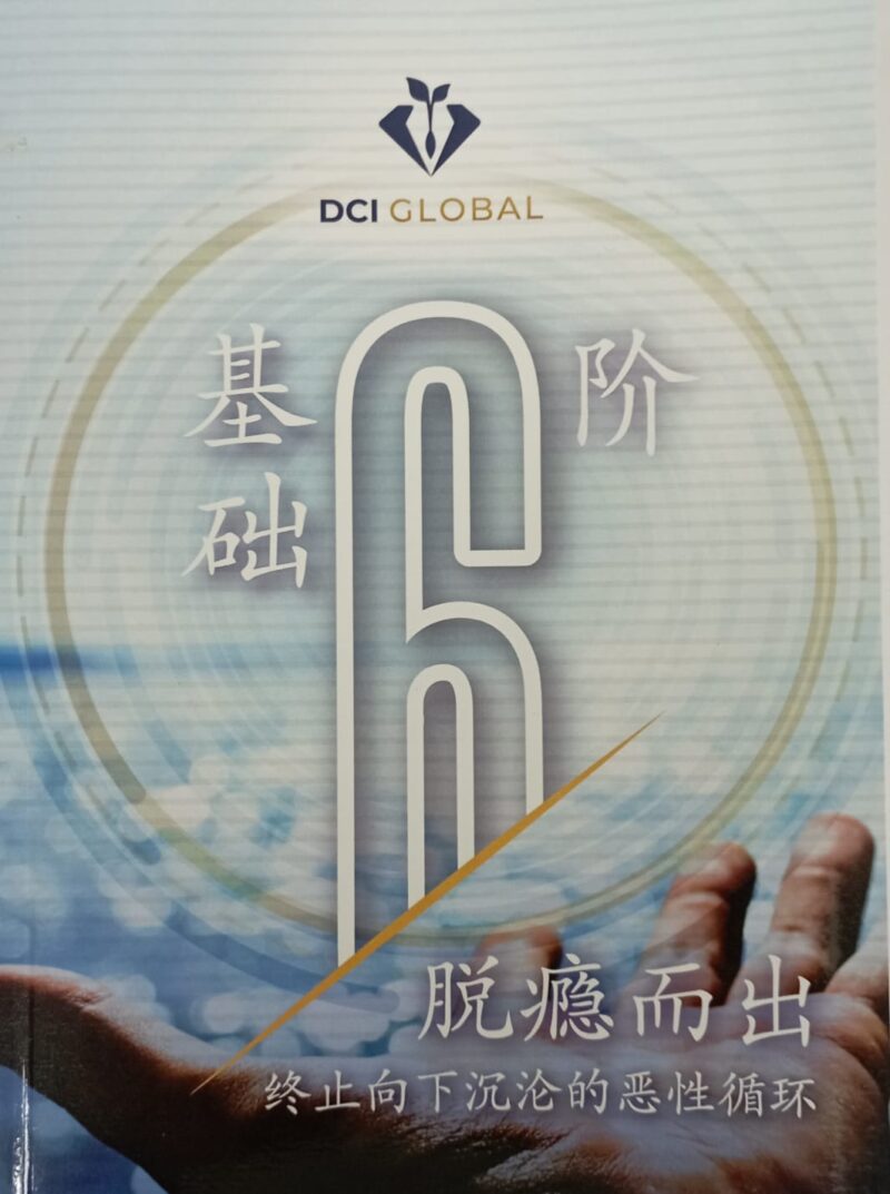 DCIG Level 6 Manual