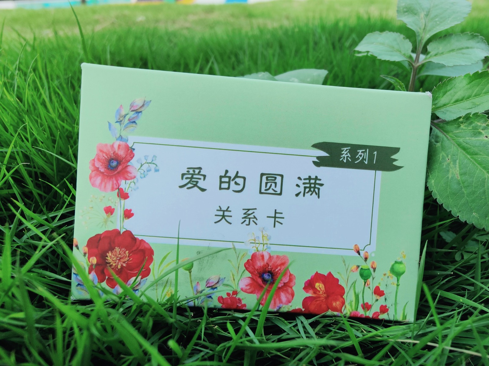 爱的圆满关系卡一套 (系列1) Perfect of Love Card (Series 1)