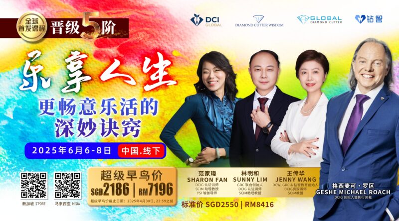 DCI GLOBAL CITY INTENSIVE (BUNDLE)  城市密集 (配套） - Image 8