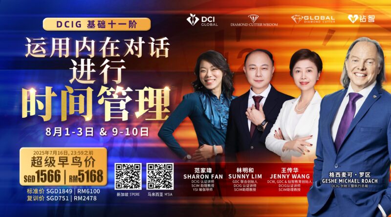 DCI GLOBAL CITY INTENSIVE (BUNDLE)  城市密集 (配套） - Image 2